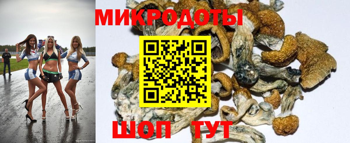 Железногорск  Псилоцибиновые грибы Magic Shrooms  Галлюциногенные грибы Psilocybe  Вход с VPN 